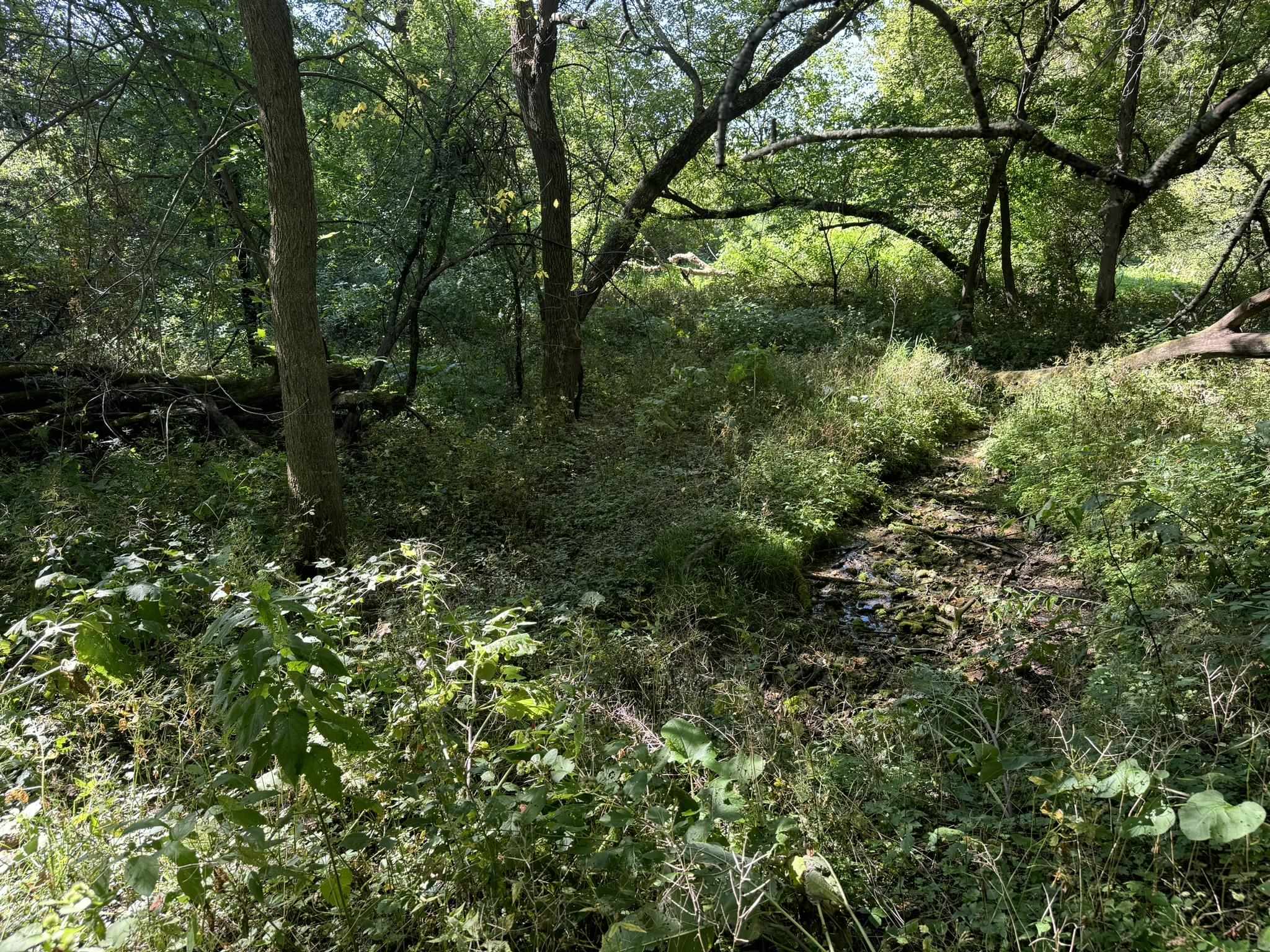 Lot 10 Murphy Road Mineral Point, WI 53565 - Photo 2 of 12