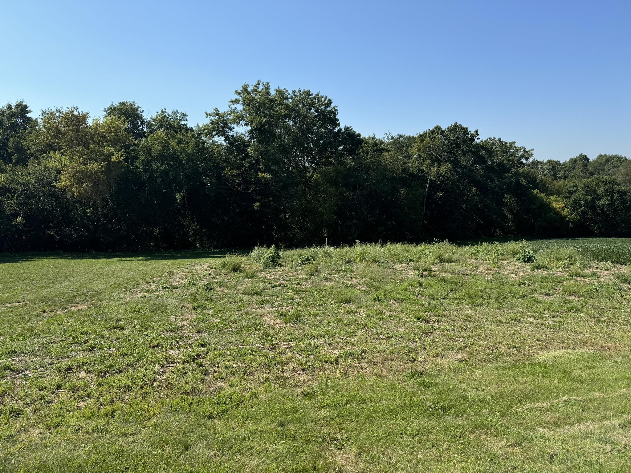 Lot 10 Murphy Road Mineral Point, WI 53565 - Photo 4 of 12