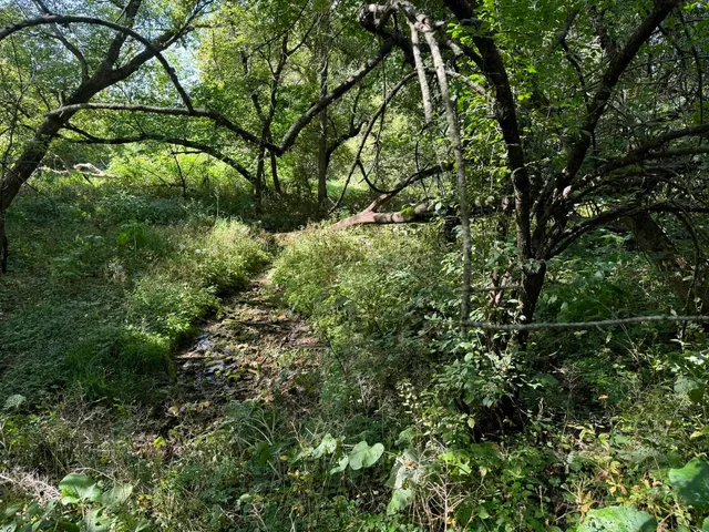 $99,000 | Lot 10 Murphy Road, Mineral Point, WI 53565