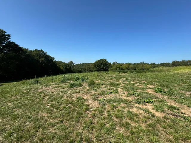 $99,000 | Lot 10 Murphy Road, Mineral Point, WI 53565