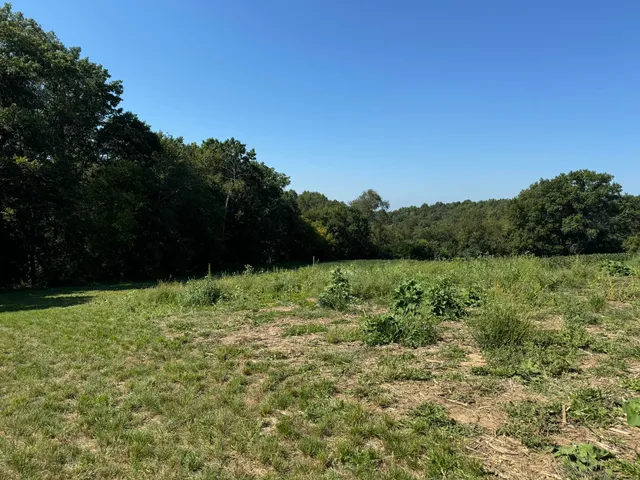 $99,000 | Lot 10 Murphy Road, Mineral Point, WI 53565