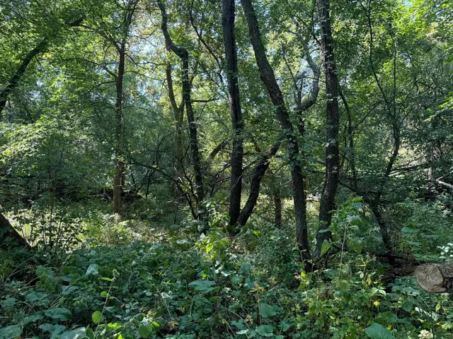 $99,000 | Lot 10 Murphy Road, Mineral Point, WI 53565