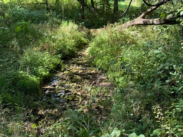 $99,000 | Lot 10 Murphy Road, Mineral Point, WI 53565