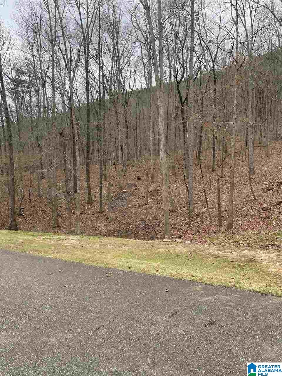 280 Stonegate Drive, Unit 28 Birmingham, AL 35242 - Photo 5 of 9