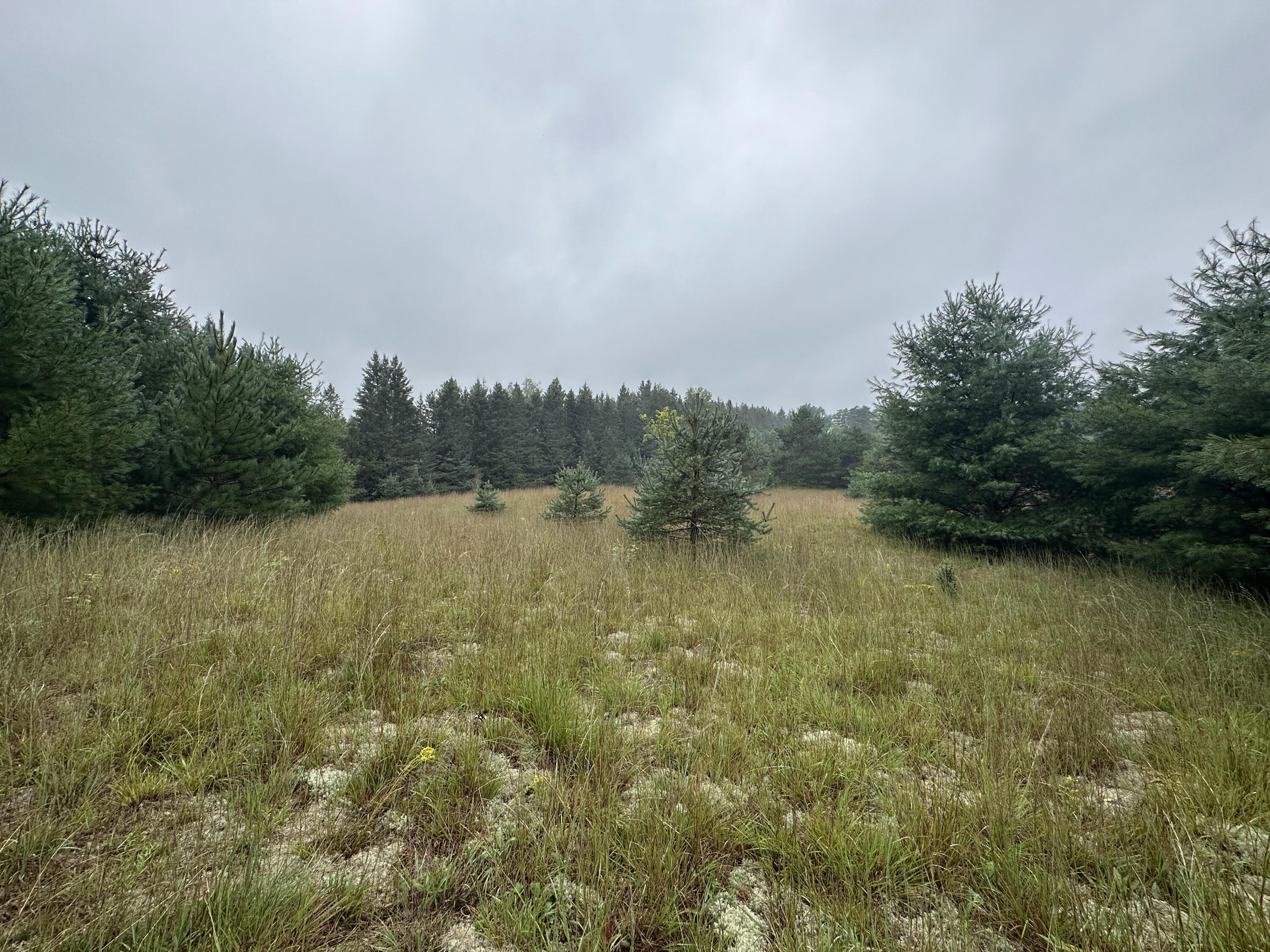 312 West Miller Road Mio, MI 48647 - Photo 18 of 44 IMG_7833