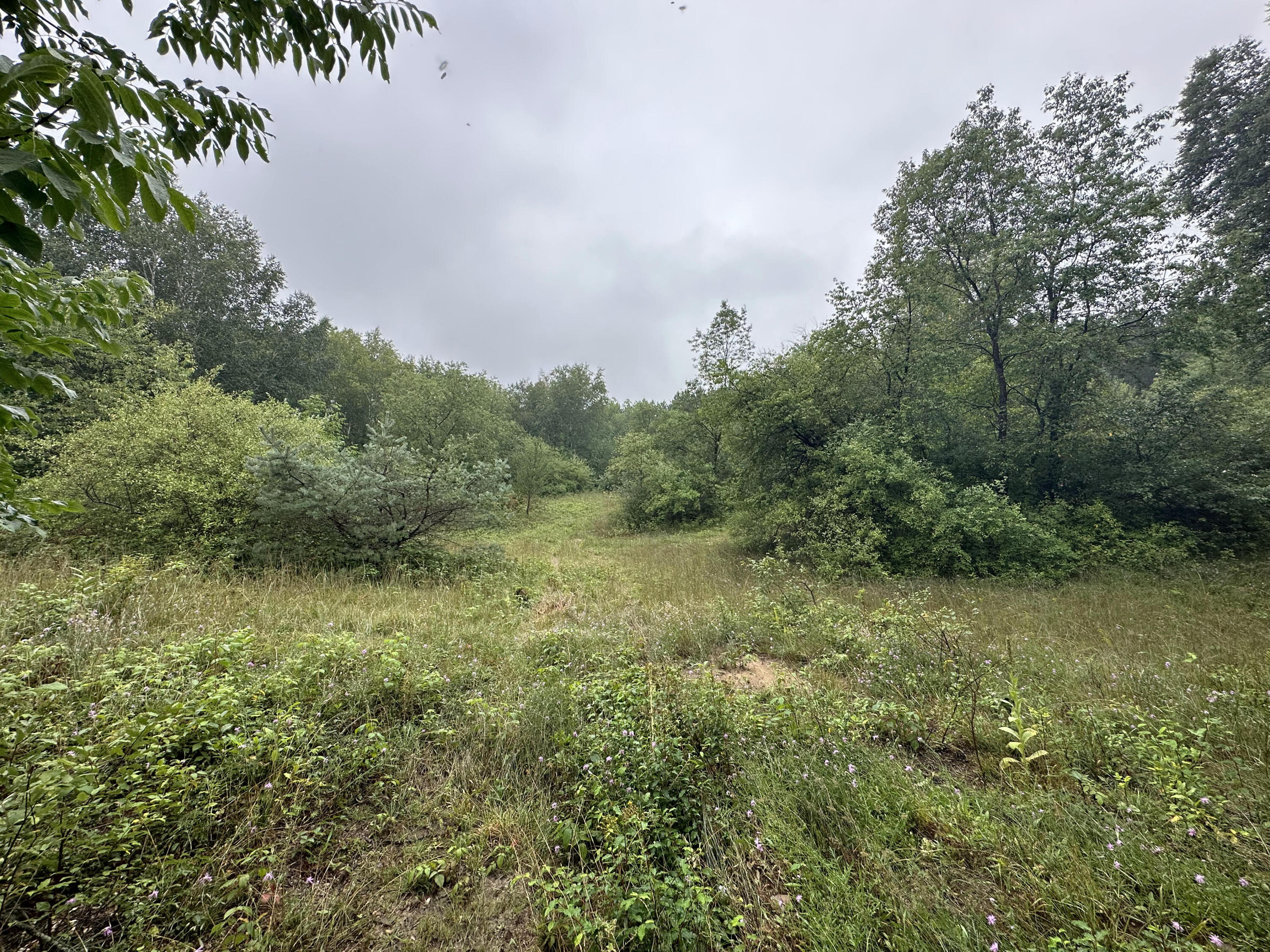 312 West Miller Road Mio, MI 48647 - Photo 19 of 44 IMG_7869