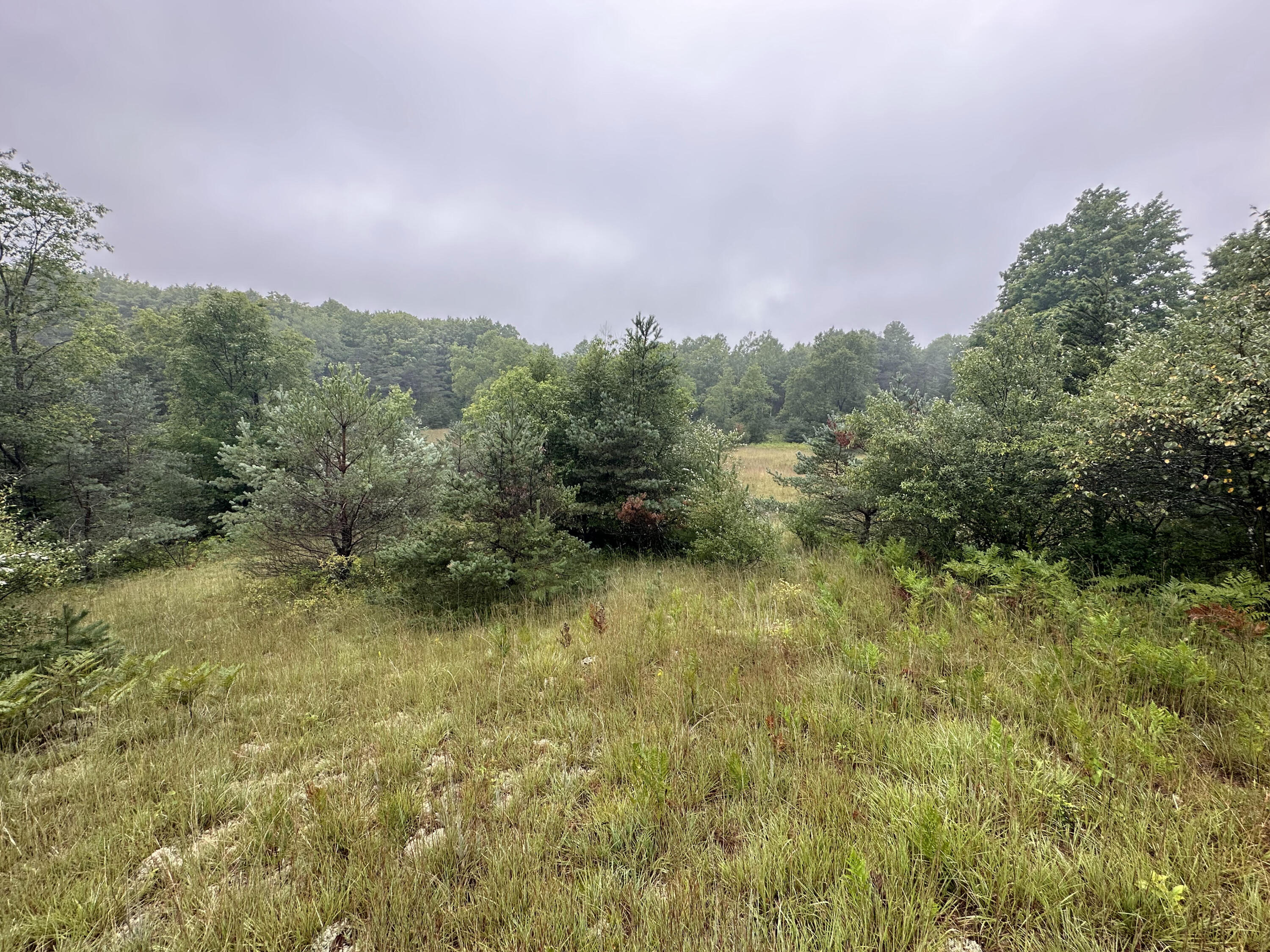 312 West Miller Road Mio, MI 48647 - Photo 23 of 44 IMG_7882