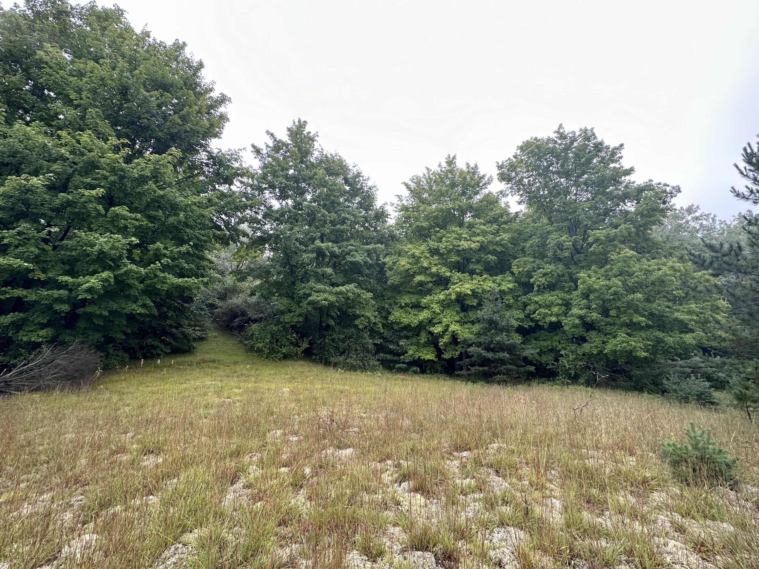 312 West Miller Road Mio, MI 48647 - Photo 26 of 44 IMG_7841