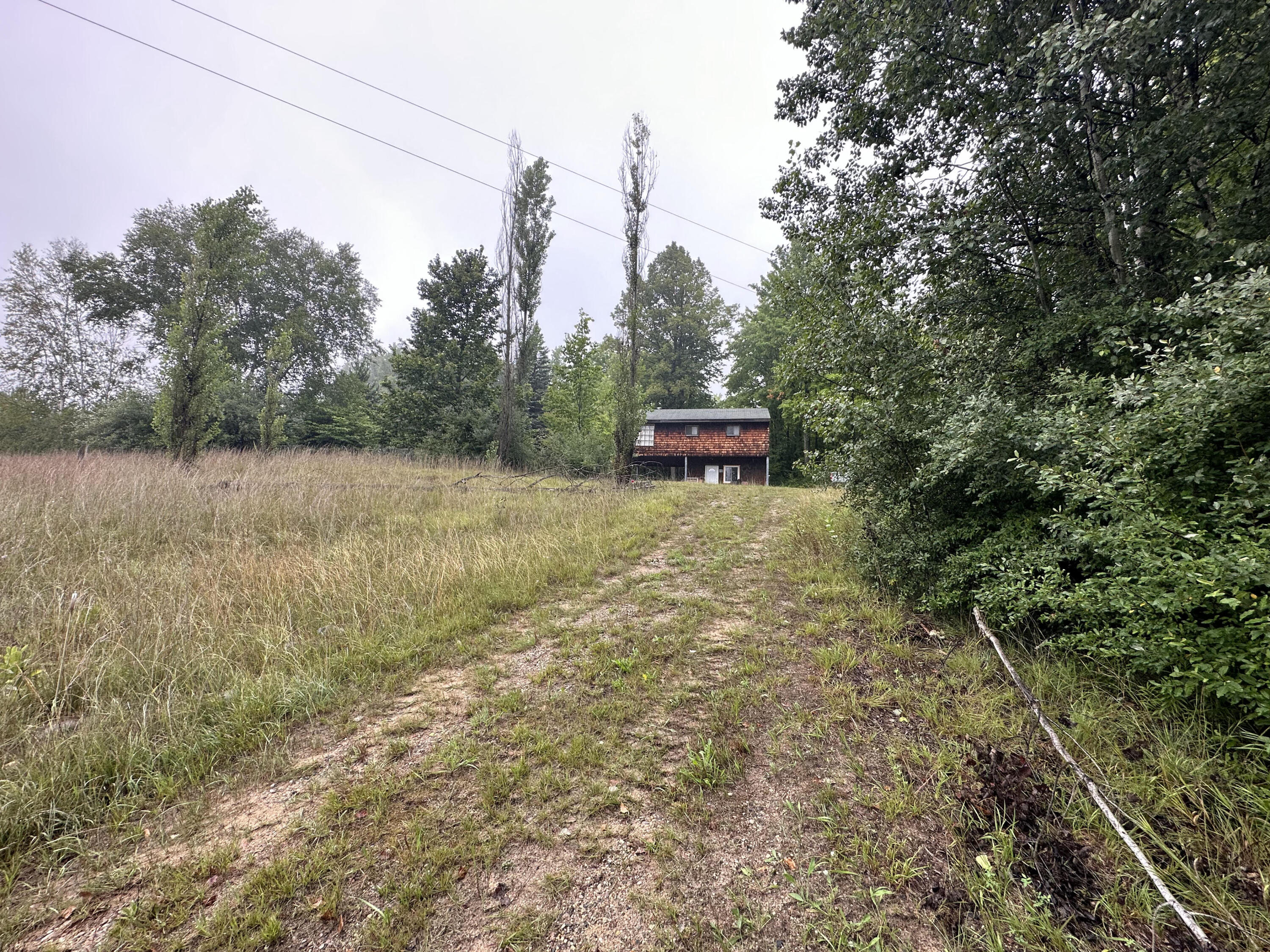 312 West Miller Road Mio, MI 48647 - Photo 29 of 44 IMG_7890