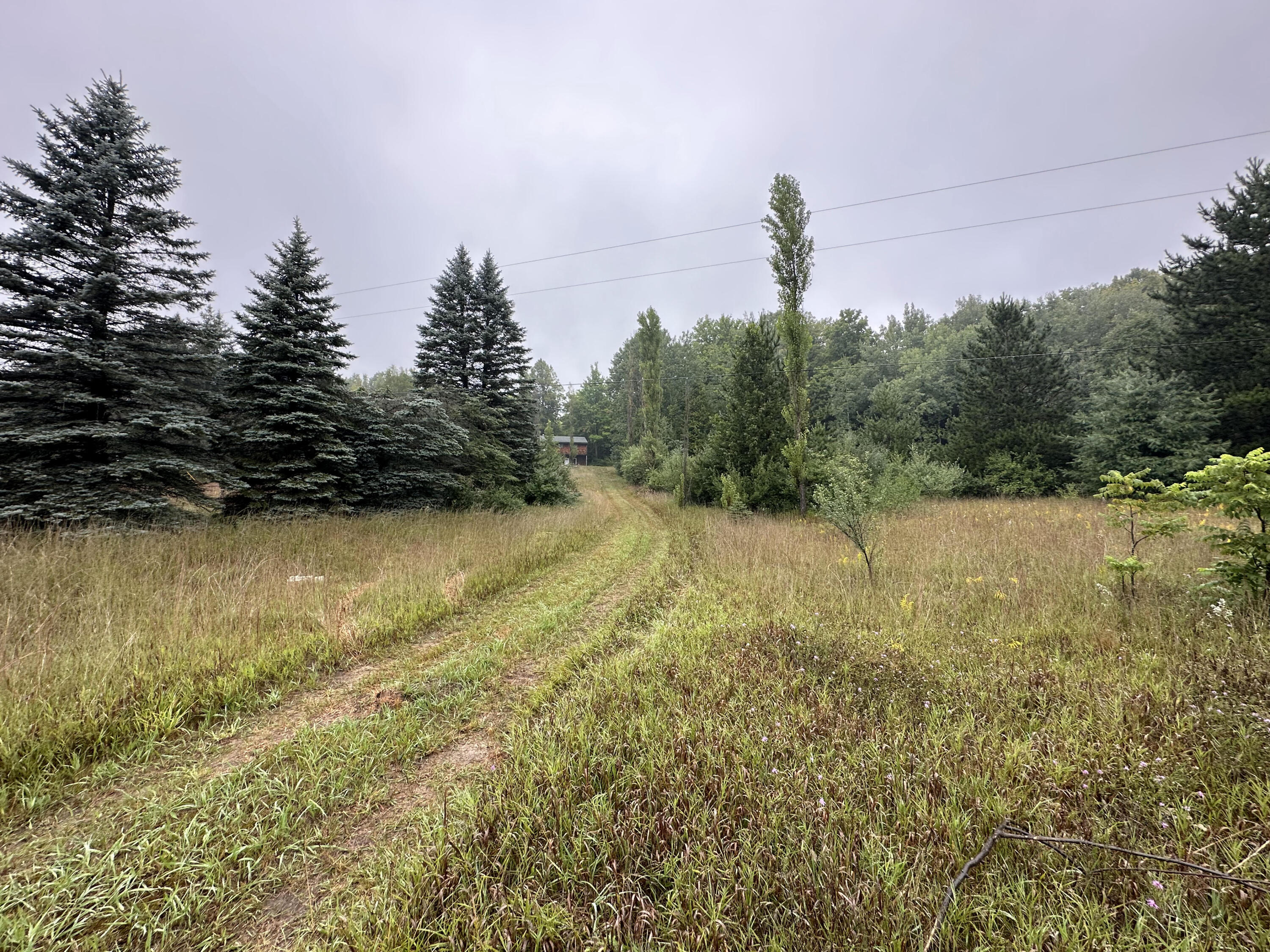 312 West Miller Road Mio, MI 48647 - Photo 41 of 44 IMG_7897