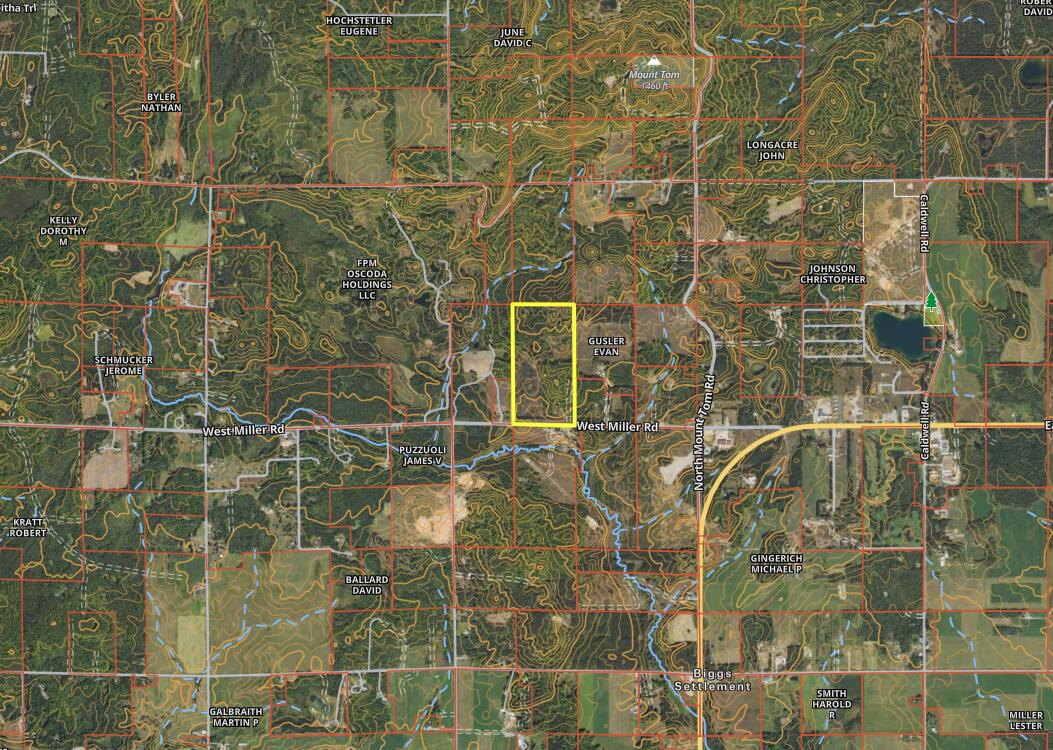 312 West Miller Road Mio, MI 48647 - Photo 43 of 44 Helicon - OnX - Far