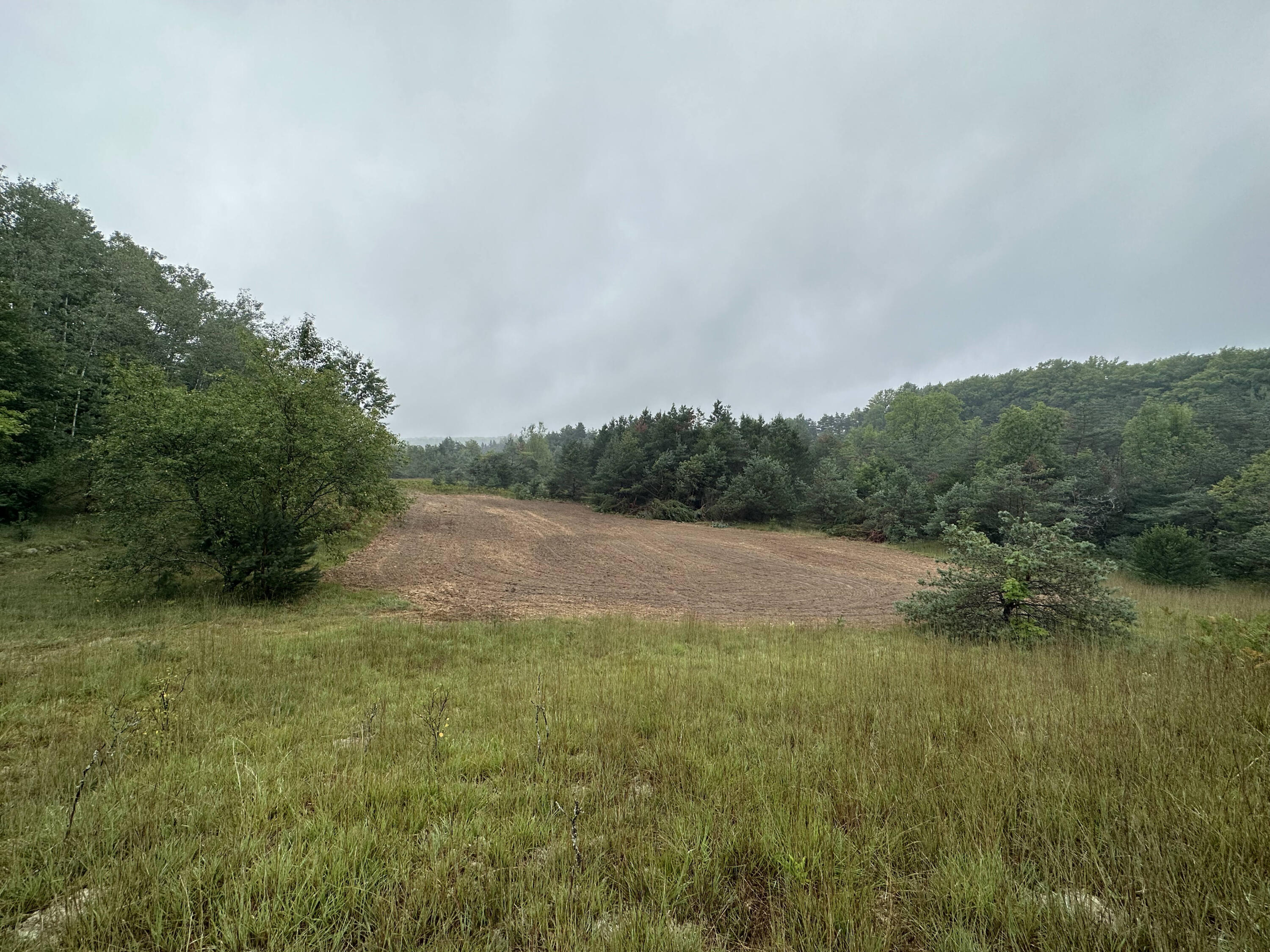312 West Miller Road Mio, MI 48647 - Photo 5 of 44 IMG_7849