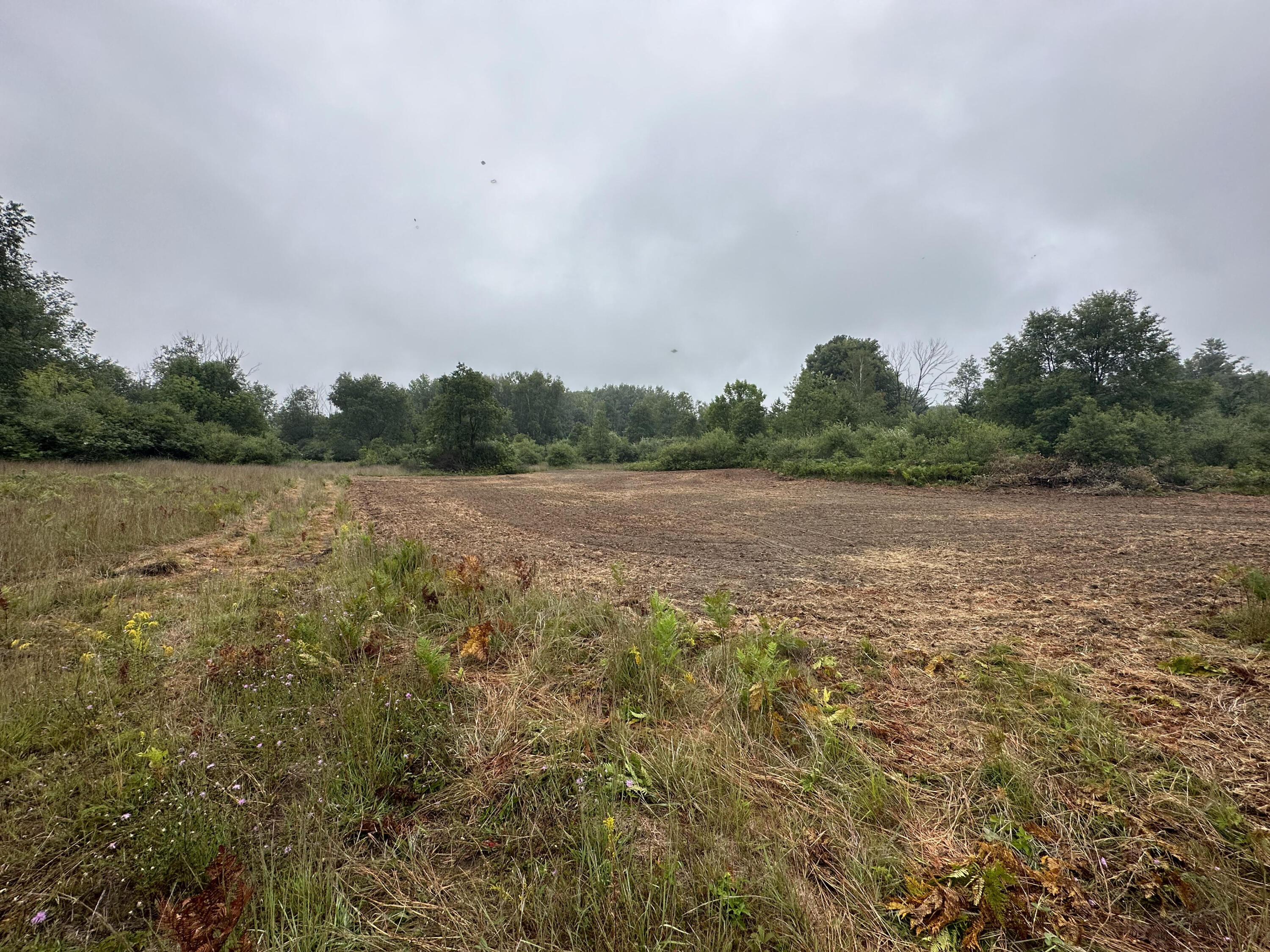312 West Miller Road Mio, MI 48647 - Photo 10 of 44 IMG_7861