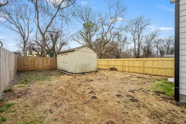 a view of backyard and tree