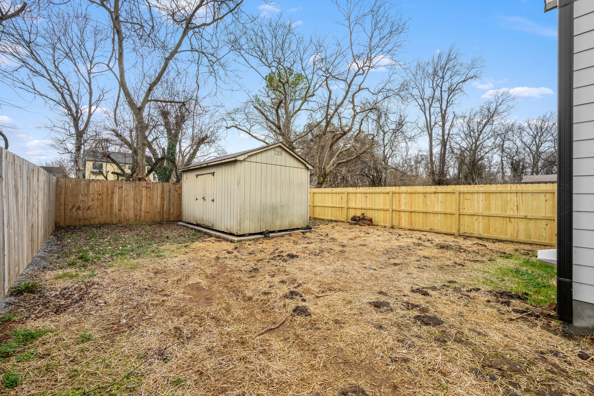 454 East State Street Murfreesboro, TN 37130 - Photo 37 of 41 a view of backyard and tree