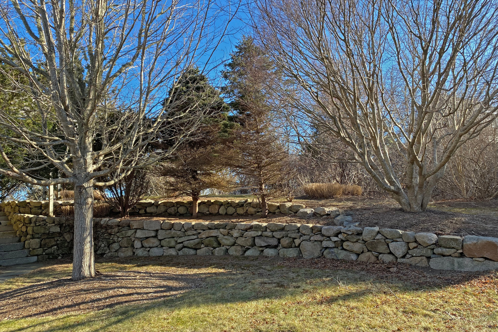 1 Smith Lane Chilmark, MA 02535 - Photo 3 of 27 a view of a yard with trees