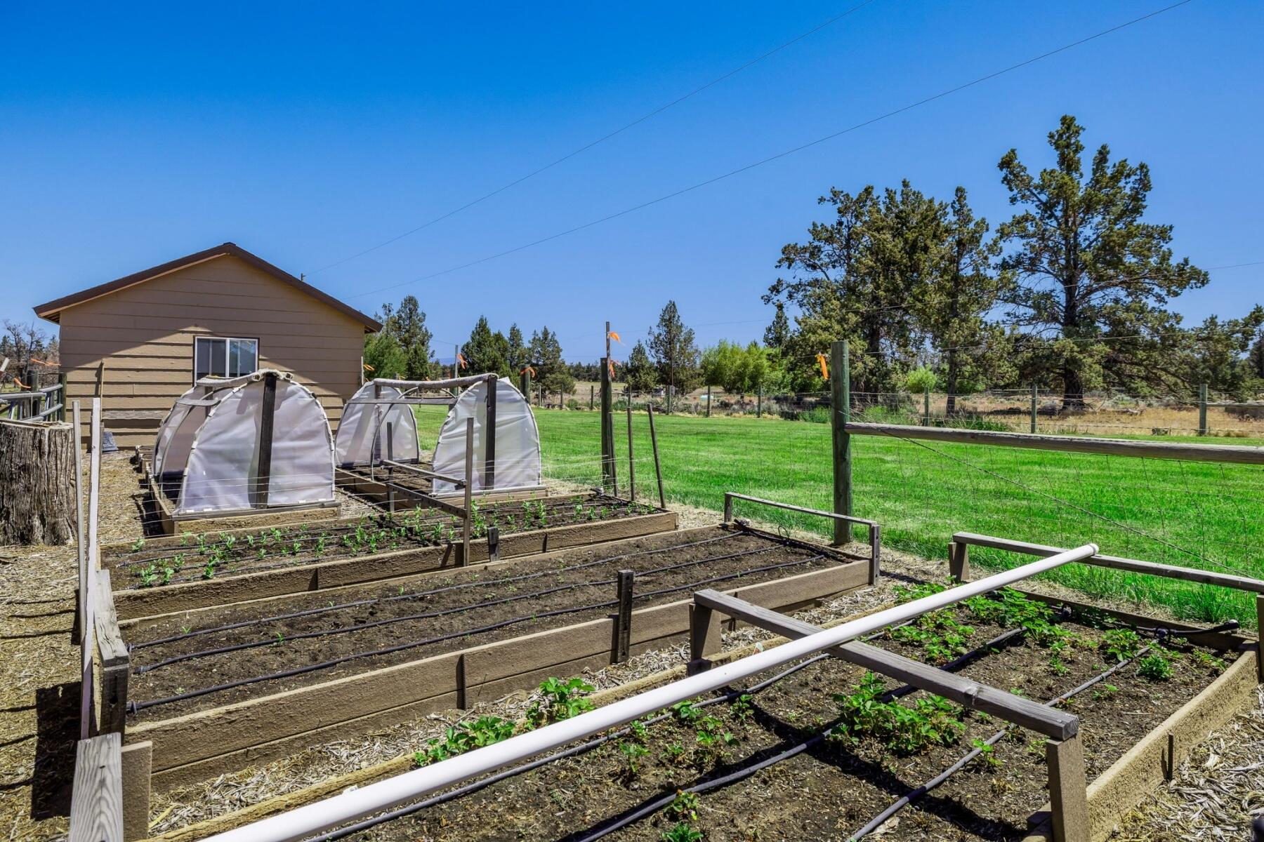 62610 Erickson Road Bend, OR 97701 - Photo 35 of 40 Vegetable gardens