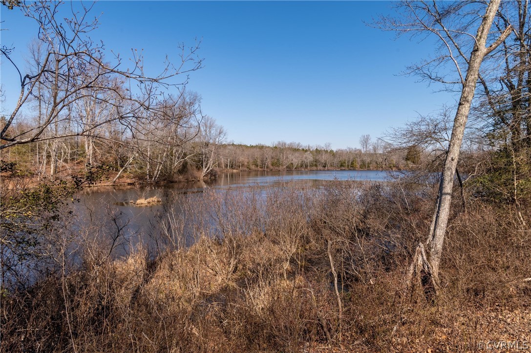 2579 Mitchells Mill Road Aylett, VA 23009 - Photo 6 of 29 Gallery Image 6