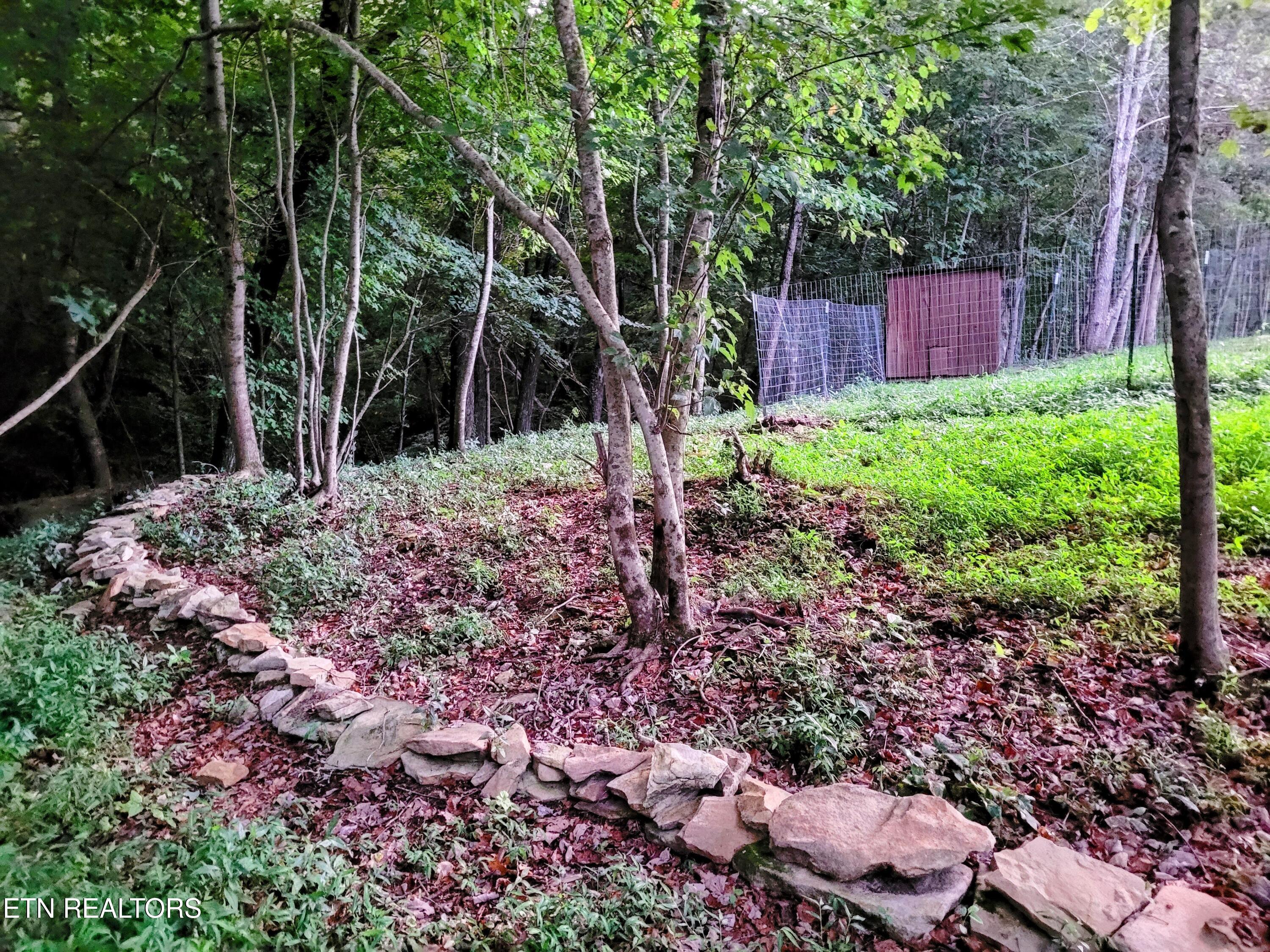 645 Lynn Rothwell Road Pikeville, TN 37367 - Photo 19 of 25 20240812_203910-EDIT