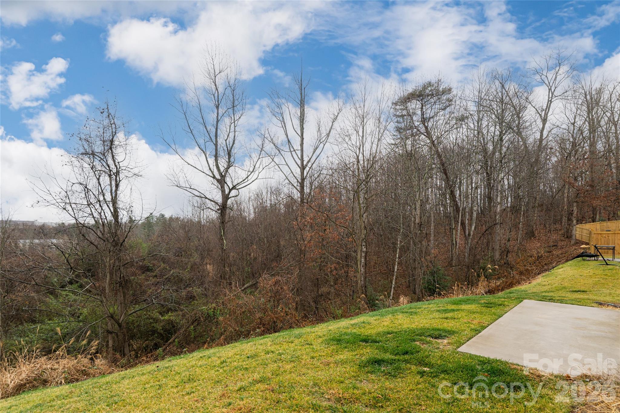 518 Jaca Lane Arden, NC 28704 - Photo 37 of 39