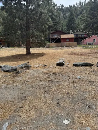 a view of yard with trees