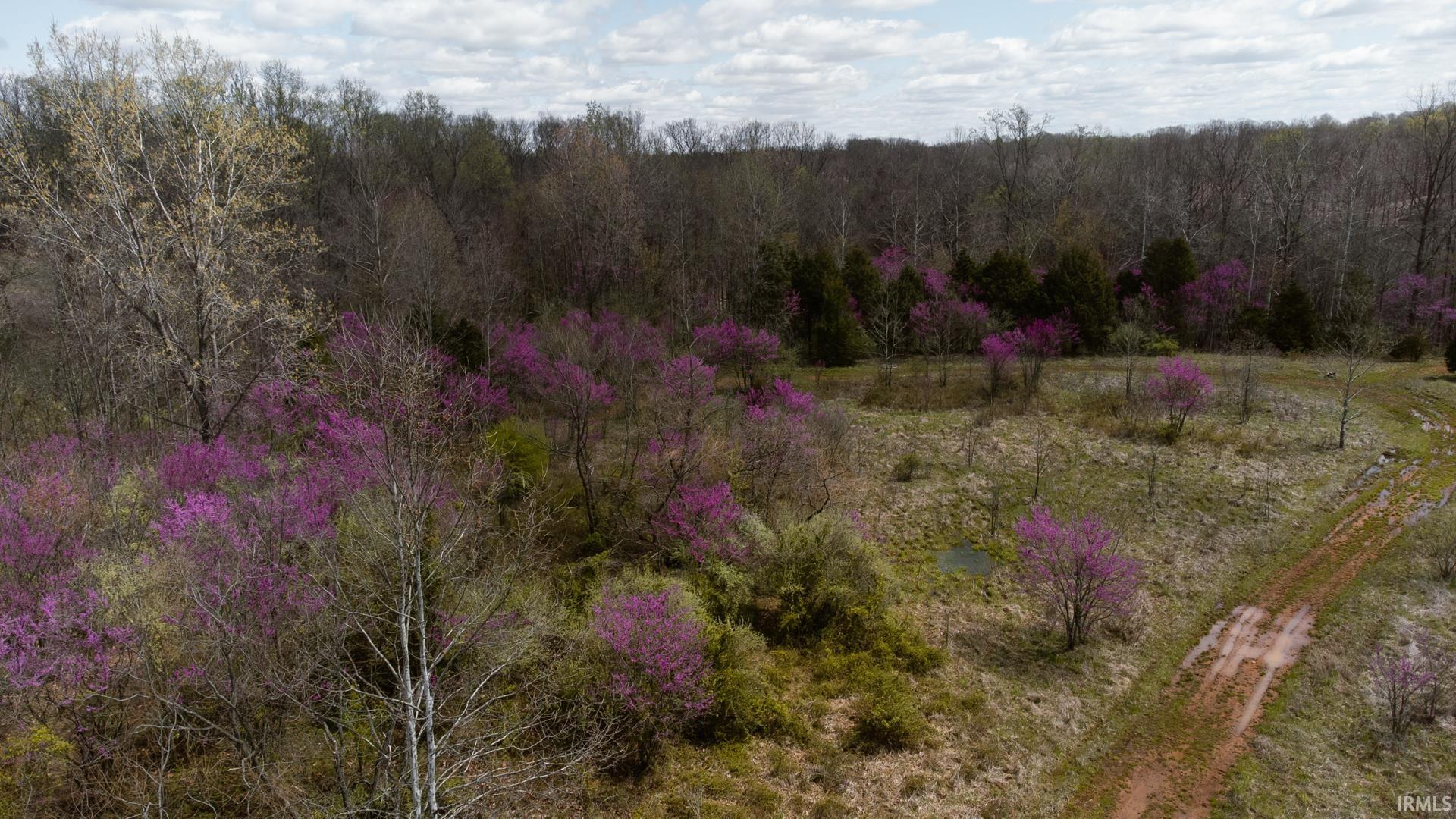 3324 Patrick Robbins Way Bedford, IN 47421 - Photo 28 of 36