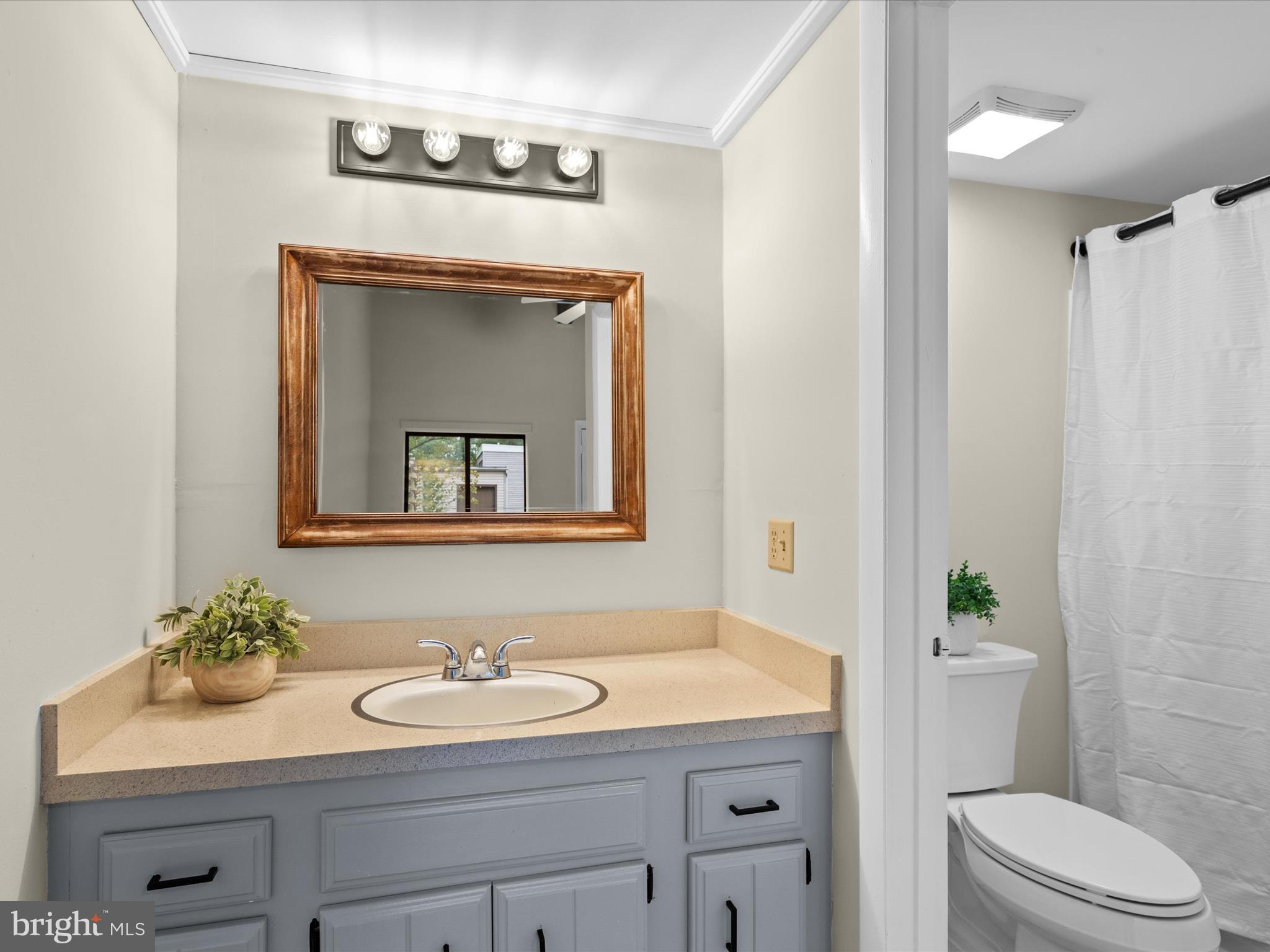 438 Ocean Parkway, Unit 4 Berlin, MD 21811 - Photo 26 of 81 a bathroom with a granite countertop sink a toilet and a mirror