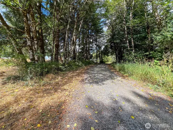 a view of a yard with plants and trees