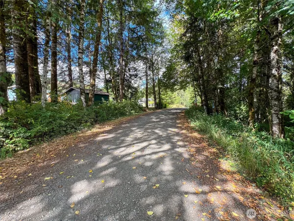 a view of a dirt road with trees in the background
