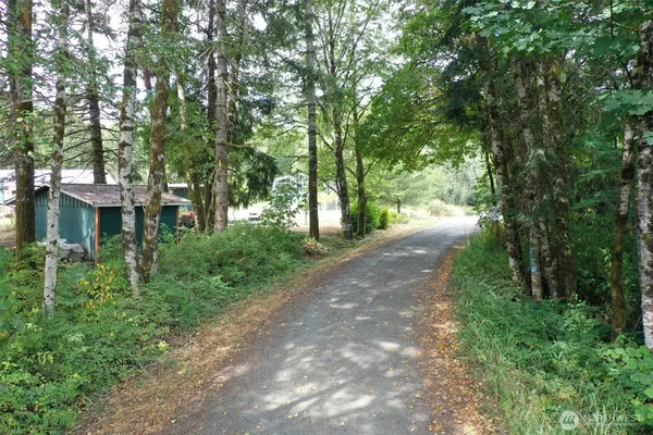 a view of a street with plants and trees