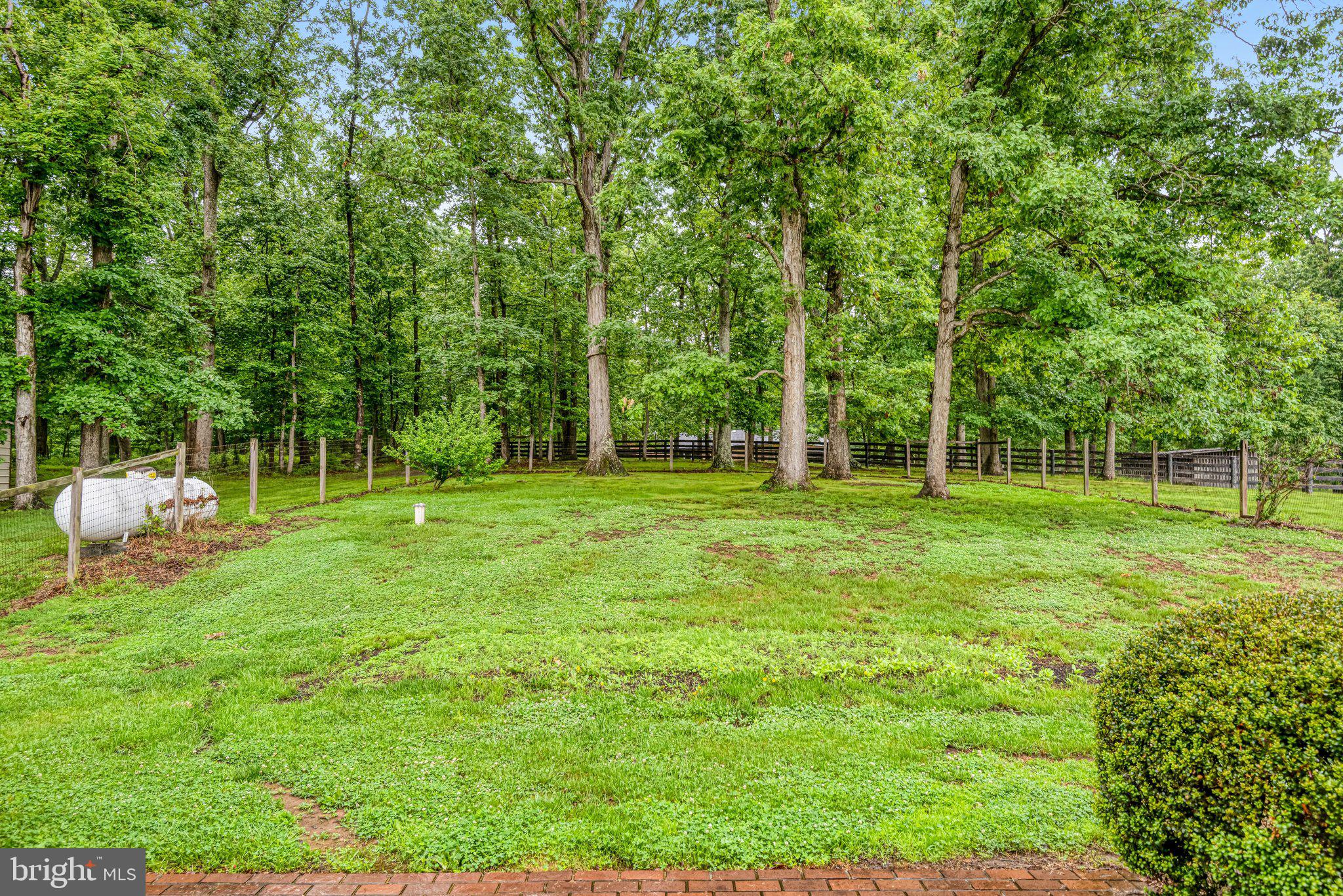 7961 Leeds Manor Road Marshall, VA 20115 - Photo 35 of 40 a view of a park with trees and grass