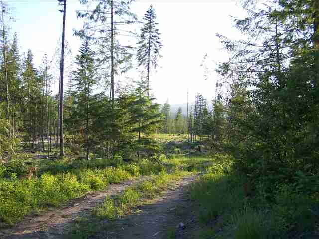 Tract 4 Westside Calispell Road Usk, WA 99180 - Photo 1 of 8