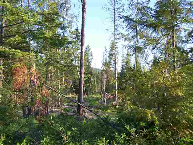 Tract 4 Westside Calispell Road Usk, WA 99180 - Photo 2 of 8