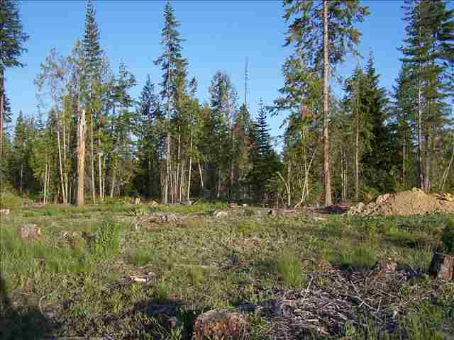 Tract 4 Westside Calispell Road Usk, WA 99180 - Photo 4 of 8