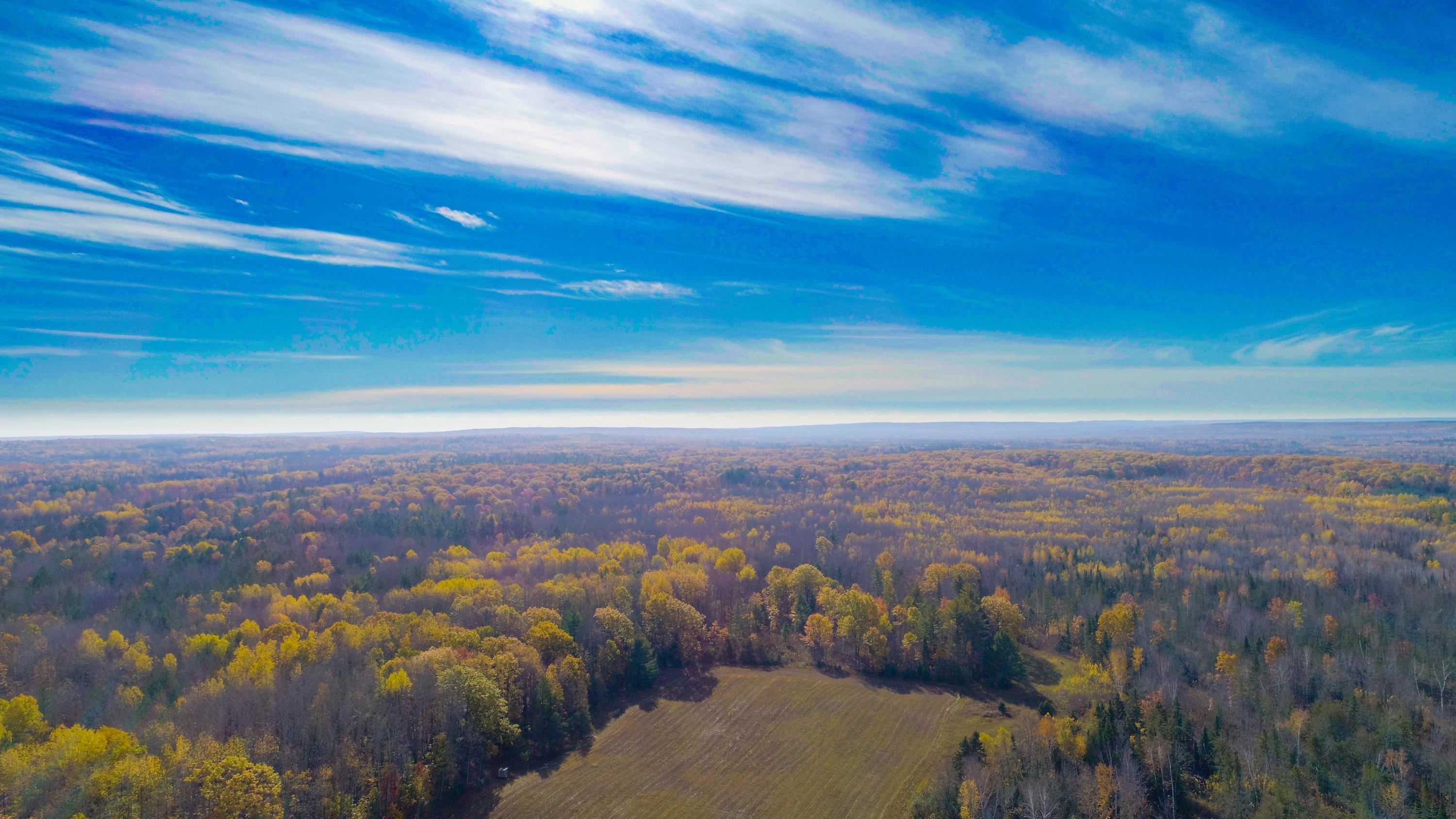 13759 Werth Road Lachine, MI 49753 - Photo 31 of 47 Gallery Image 31
