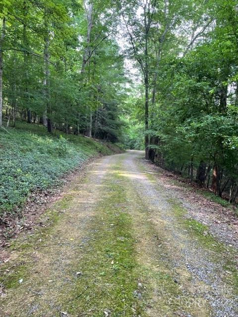 620 Wells Mill Road Bostic, NC 28018 - Photo 2 of 16 Gallery Image 2