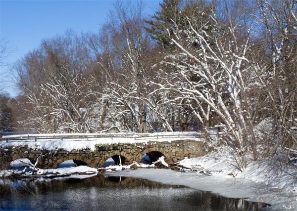 246 Stonebridge Road Wayland, MA 01778 - Photo 8 of 25