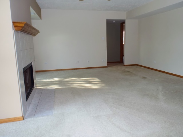 18206 Rita Road, Unit 2D Tinley Park, IL 60477 - Photo 5 of 31