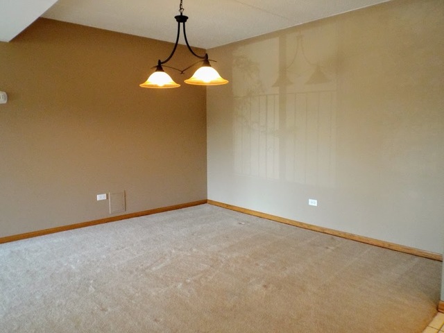 18206 Rita Road, Unit 2D Tinley Park, IL 60477 - Photo 9 of 31