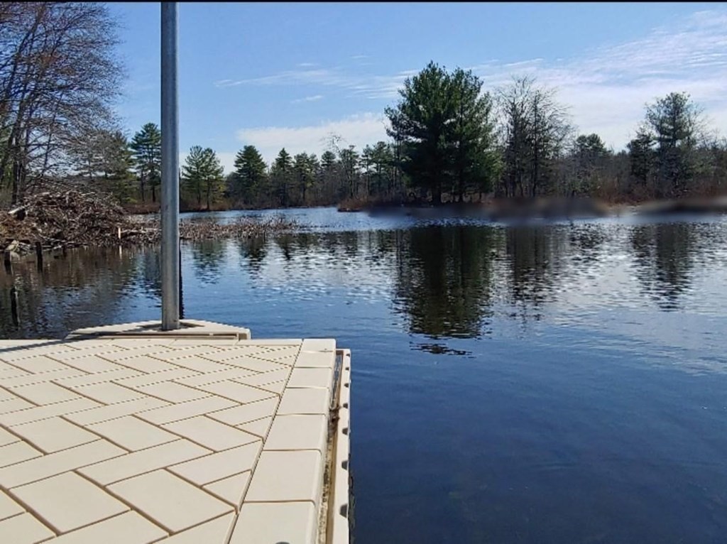a lake view
