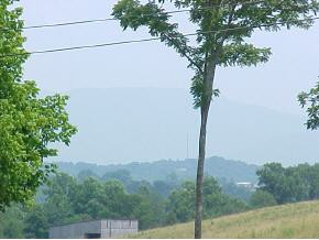 1464 Pisgah Road Greeneville, TN 37743 - Photo 9 of 9 Photo 9