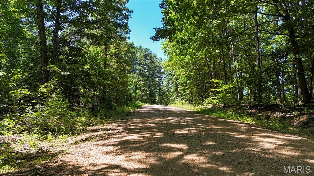Tbd Tbd Antler Ridge Bunker, MO 63629 - Photo 19 of 26