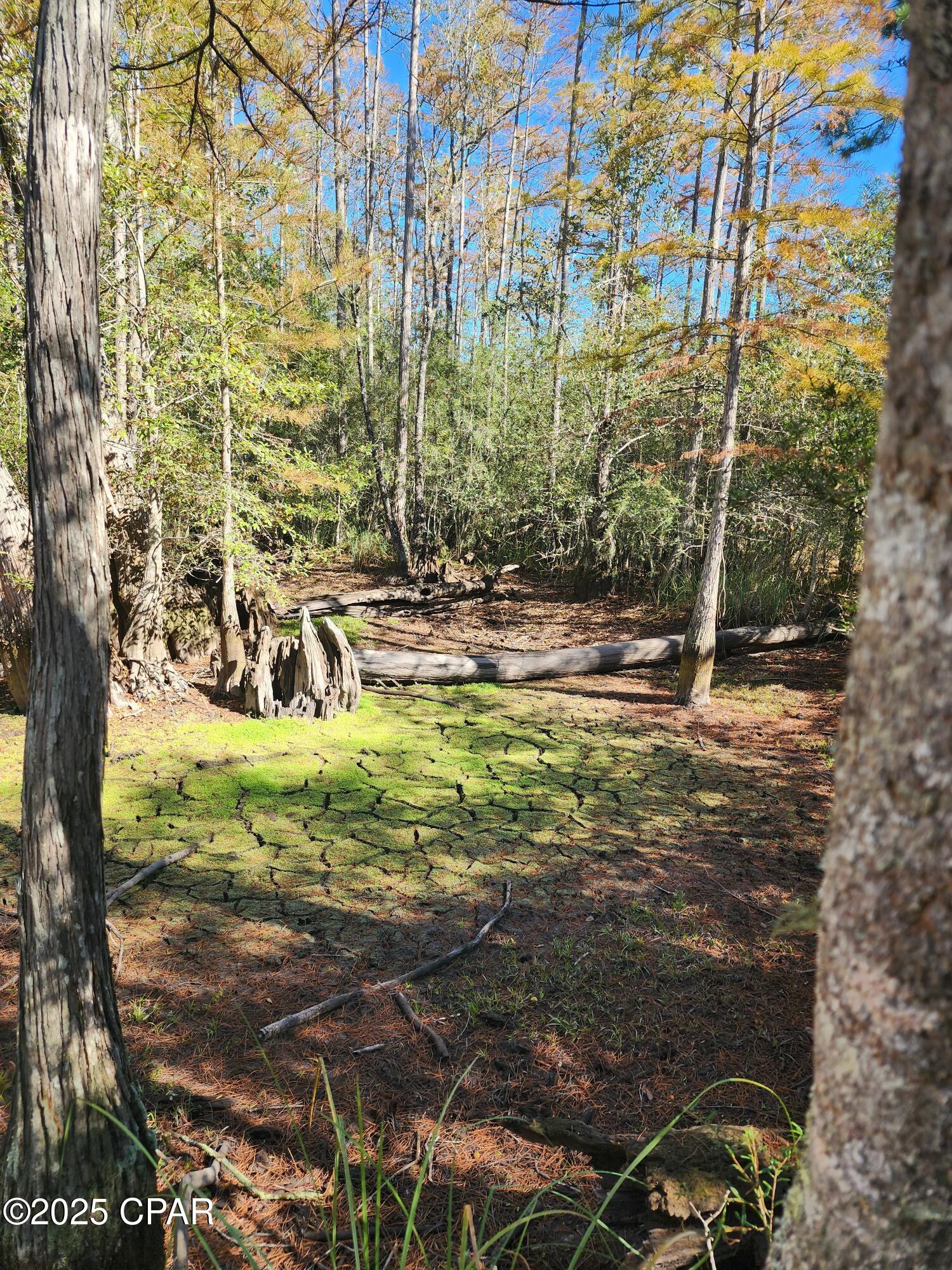 0 Pineridge Church Road Marianna, FL 32448 - Photo 12 of 33