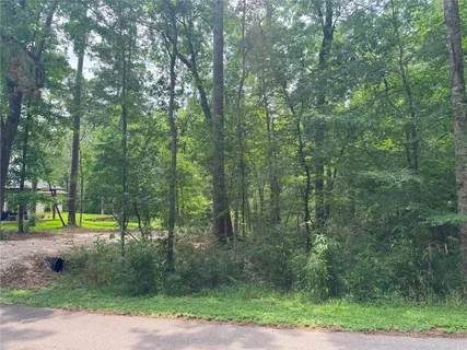 $17,500 | 77 South Pine Harbour Drive, Coldspring, TX 77331