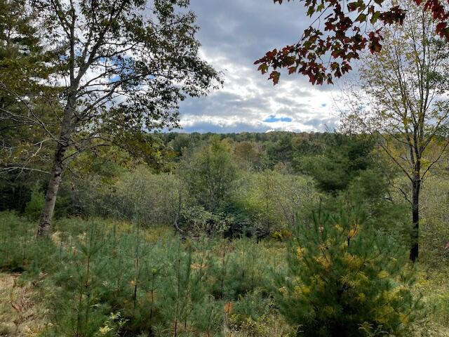 Map4-lot3 East Bucksport Road Orrington, ME 04474 - Photo 17 of 22