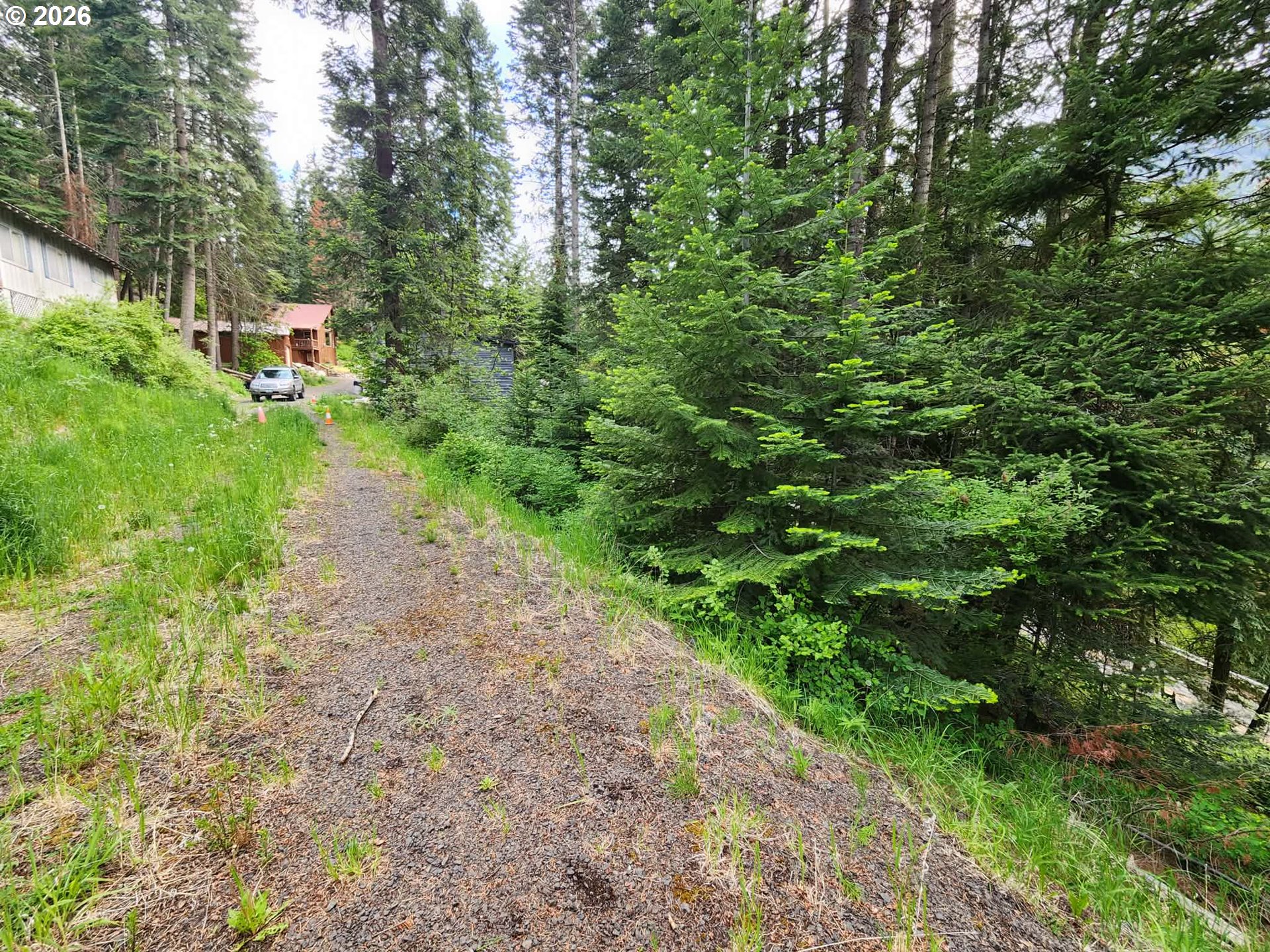 0 Forest Dell Road Joseph, OR 97846 - Photo 3 of 18