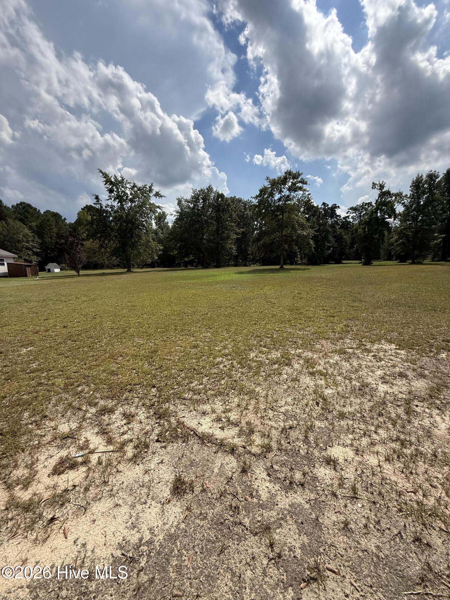 2171 Gene Howard Road Stapleton, GA 30823 - Photo 60 of 63 Gallery Image 60