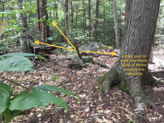 0 Off Mountain Stoneham, ME 04231 - Photo 11 of 32 State of Maine corner