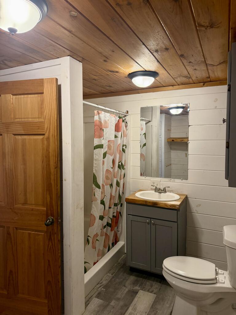 390 Haddock Drive Blue Ridge, GA 30513 - Photo 26 of 26 Gallery Image 26