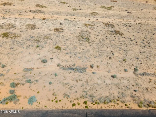 a view of a dry yard